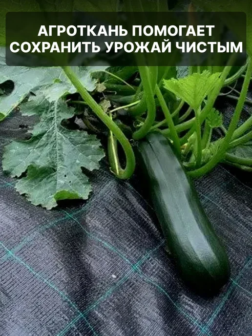 Prodax Агроткань от сорняков дорожка между грядками 0,55х30 м, 55x20 м, 20 м, фото 3