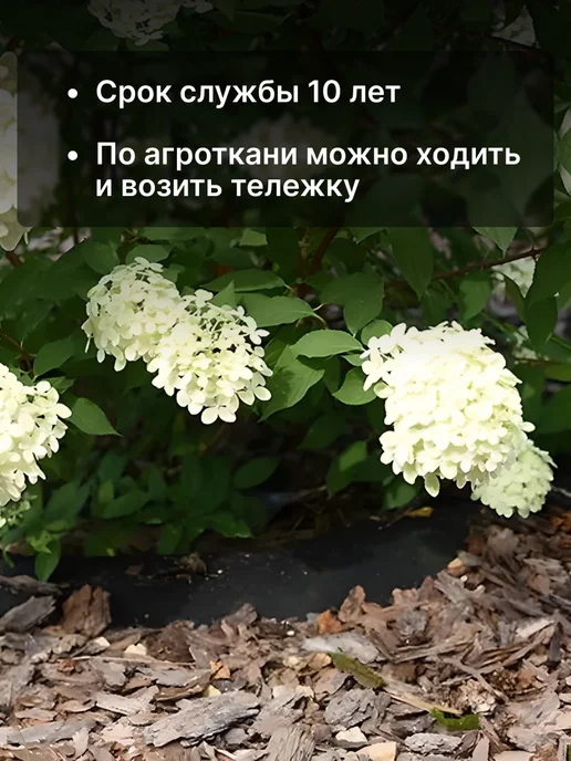 Prodax Агроткань от сорняков дорожка между грядками 0,55х30 м, 55x20 м, 20 м, фото 5