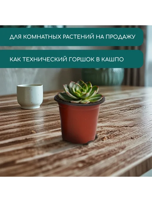 TPremium Горшок для рассады 350 мл терракот d 9.5 см h 8 см, 40 шт, 350 мл, 40 шт, фото 4