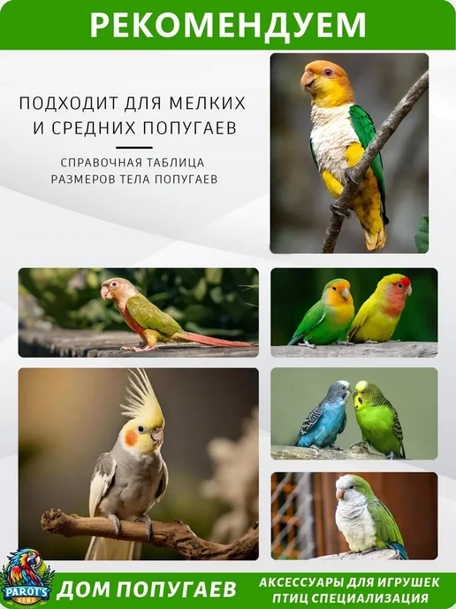 Клетка для попугаев, птиц, с игрушками. Размеры 360x230x250, 360x230x250, фото 7