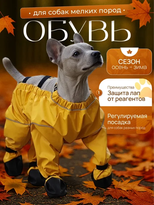 Conceptum Обувь для собак мелких средних пород непромокаемый, черный