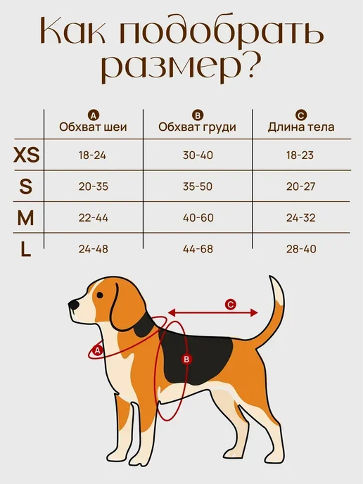 Conceptum Обувь для собак мелких средних пород непромокаемый, черный, фото 5
