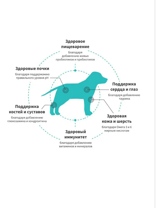 Сухой корм Grandorf' Свежий для собак, крупные, средние, щенки, ягненок, 10 кг, фото 3