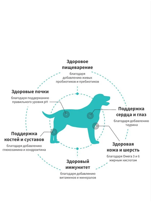 Сухой корм Grandorf' Свежий для собак, крупные, лосось, 10 кг, фото 3