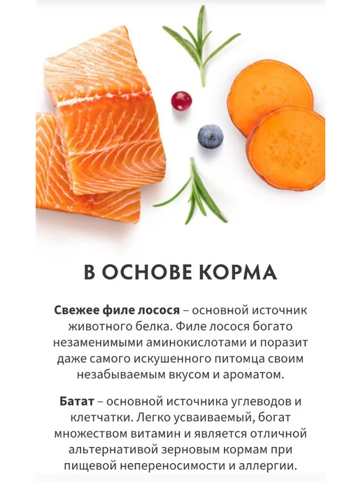 Сухой корм Grandorf' Свежий для собак, крупные, лосось, 10 кг, фото 4