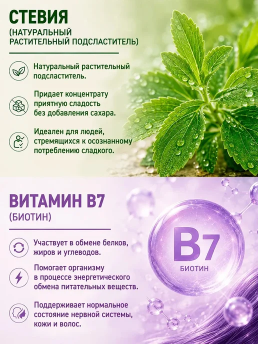 VECTOR LIFE 2 шт Полифенолы со стевией и витамином В7 250 мл, 2 шт, 250 мл, фото 2