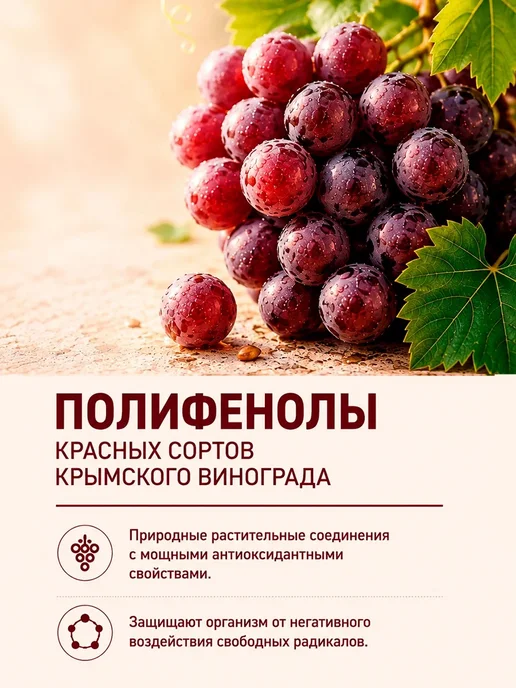 VECTOR LIFE 2 шт Полифенолы со стевией и витамином В7 250 мл, 2 шт, 250 мл, фото 6