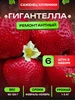 Саженцы клубники сорт Гигантелла Ягодный край Кубани 708988499 купить за 199 ₽ в интернет‑магазине Wildberries