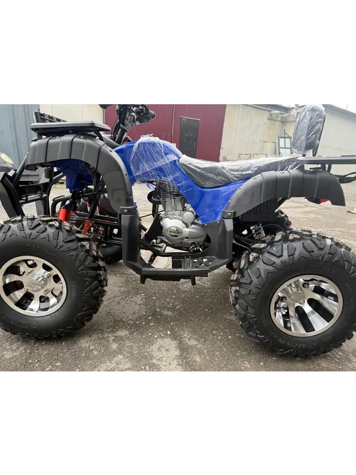Grizzly 250 «Черный», синий, фото 3