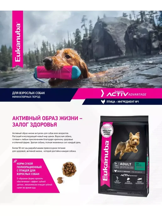 Сухой корм Eukanuba Toy Breed для собак, взрослые, мелкие, 0,5 кг, фото 3