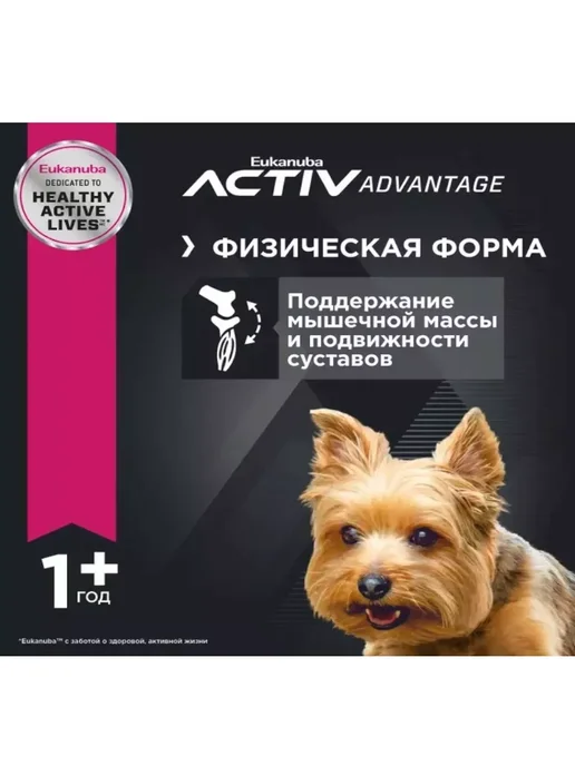 Сухой корм Eukanuba Toy Breed для собак, взрослые, мелкие, 0,5 кг, фото 5