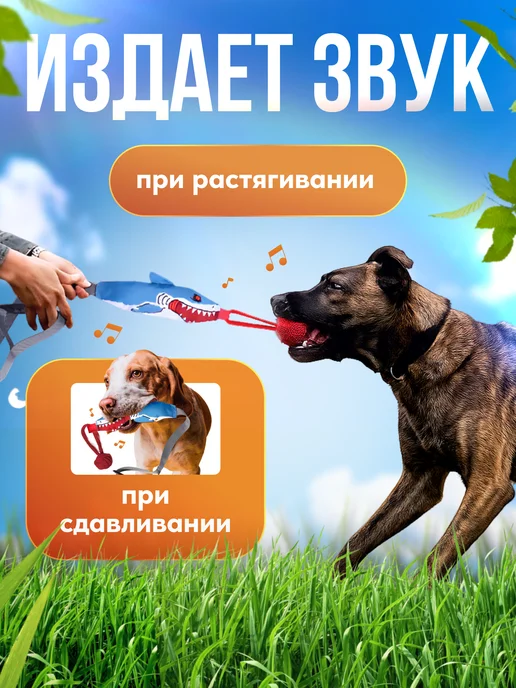 Happy Nose Канат-дразнилка, игрушка для собак мелких и средних пород, синий, фото 2