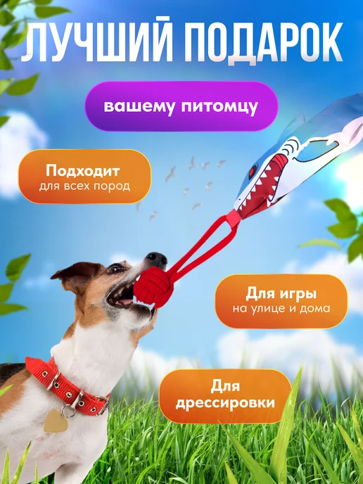 Happy Nose Канат-дразнилка, игрушка для собак мелких и средних пород, синий, фото 5