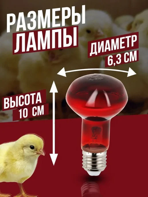 Инфракрасная лампа 60 Вт для курятника, 2 шт, 60 Вт, 2 шт, фото 2