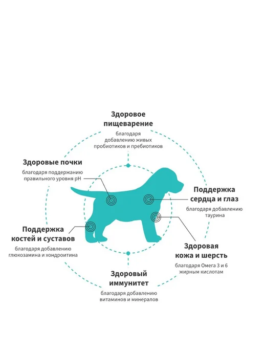 Сухой корм Grandorf' для собак, щенки, ягненок, 10 кг, фото 3
