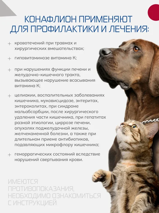 Nita-Farm Конафлион, 10 мл, 10 мл, фото 2