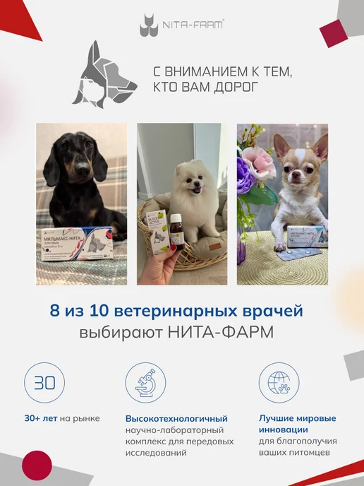 Nita-Farm Конафлион, 10 мл, 10 мл, фото 6