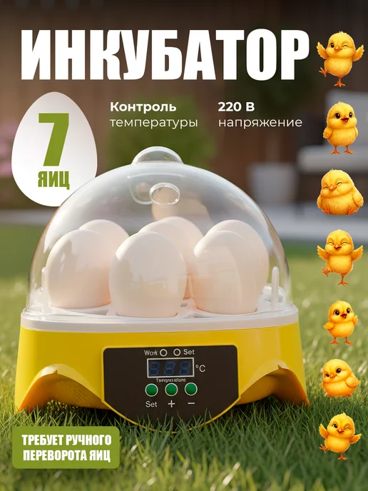 Инкубатор для яиц автоматический с терморегулятором, вариант