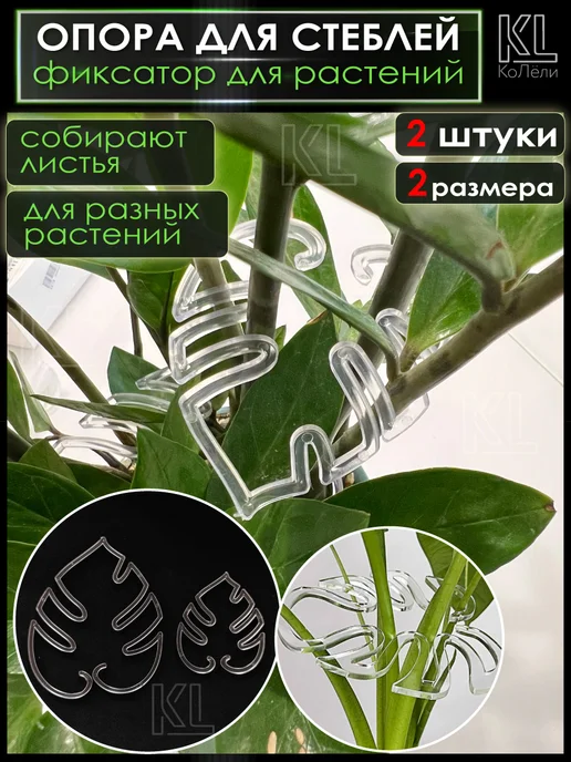 КоЛёли Фигурные опоры для домашних растений, фиксаторы стеблей, белый