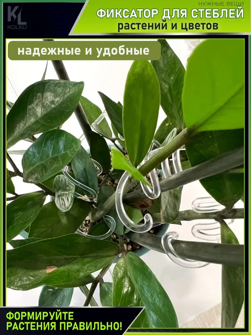 КоЛёли Фигурные опоры для домашних растений, фиксаторы стеблей, белый, фото 3