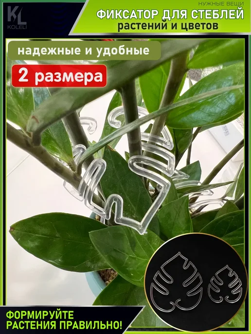 КоЛёли Фигурные опоры для домашних растений, фиксаторы стеблей, белый, фото 5