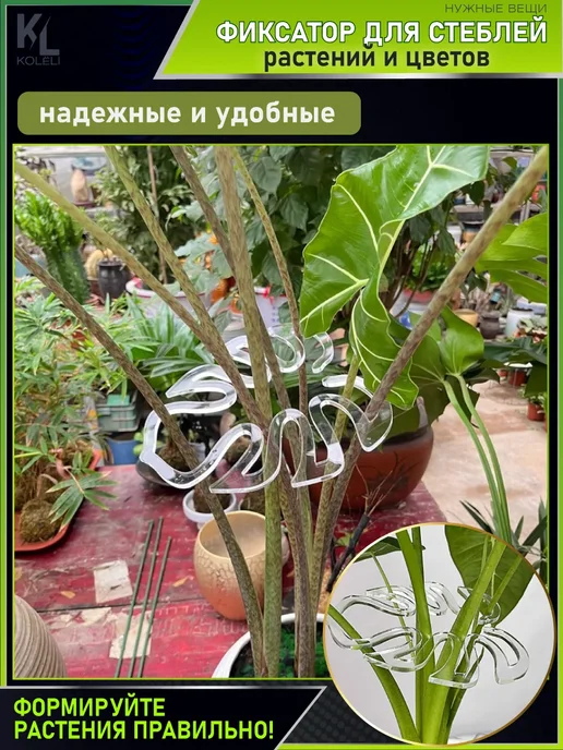 КоЛёли Фигурные опоры для домашних растений, фиксаторы стеблей, белый, фото 6
