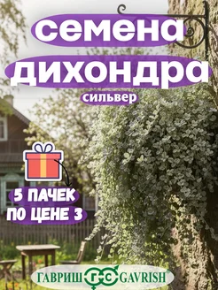 дихондра серебристая
