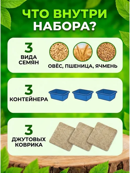 трава для кошек набор для выращивания, в упаковке 200 г, фото 2