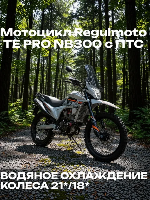 REGULMOTO Мотоцикл TE PRO NB300 с ПТС, серый