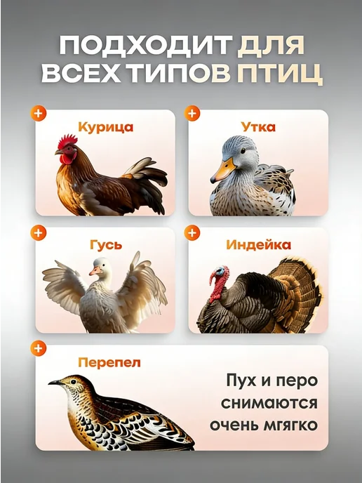 Перосъемная машина, электрический пинцет аккумуляторный, черный, фото 5