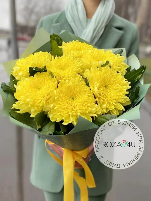 ROZA4U Букет живых цветов из белых кустовых хризантем, желтый