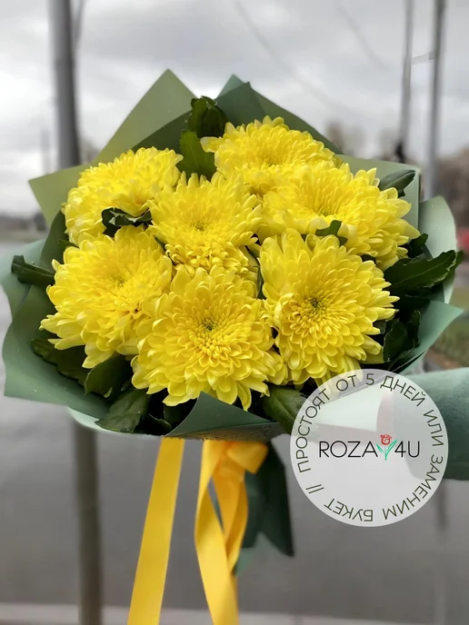 ROZA4U Букет живых цветов из белых кустовых хризантем, желтый, фото 2