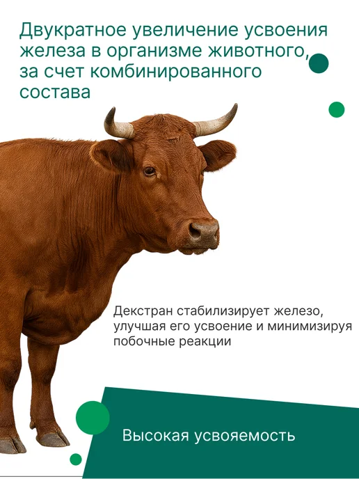 Nita-Farm Ферран, 50 мл, 100 мл, фото 3