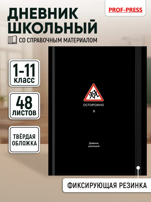Prof-Press Дневник школьный для мальчика 5-11 класс, вариант