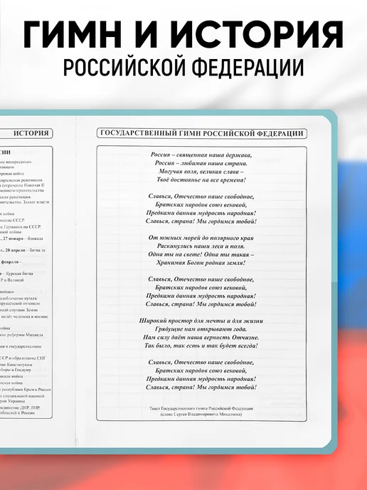 Prof-Press Дневник школьный для девочки 1-4 и 5-11 класс, вариант, фото 6