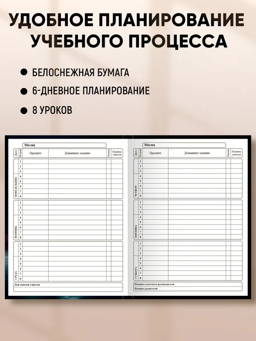 Prof-Press Дневник школьный для девочки 5-11 класс, черный, фото 2
