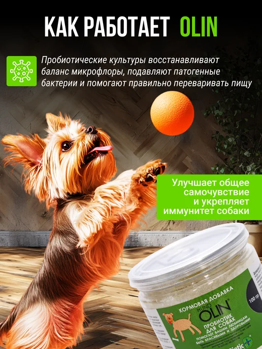 Беговая Черепаха Пробиотик для собак 100 гр, 100 г, фото 3
