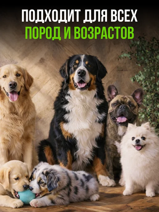Беговая Черепаха Пробиотик для собак 100 гр, 100 г, фото 5