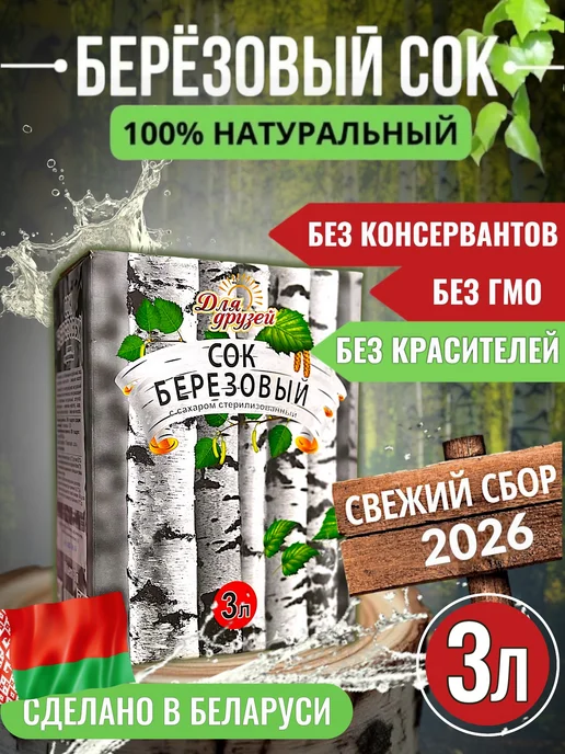 ДЛЯ ДРУЗЕЙ Березовый сок натуральный с сахаром 3 литра, 3 л