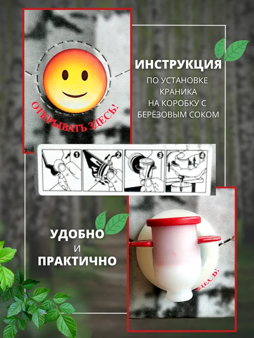 ДЛЯ ДРУЗЕЙ Березовый сок натуральный с сахаром 3 литра, 3 л, фото 3