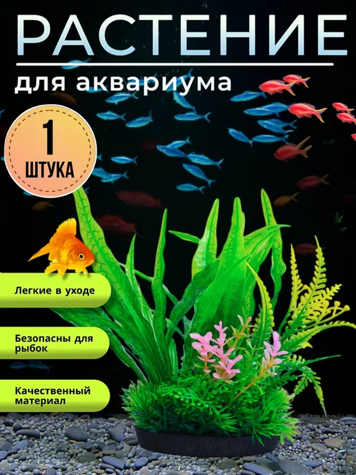 Heaven's Водоросли в аквариум растение, зеленый