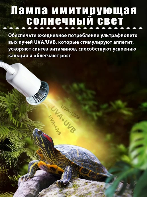 Аквариум для черепах, белый, фото 4