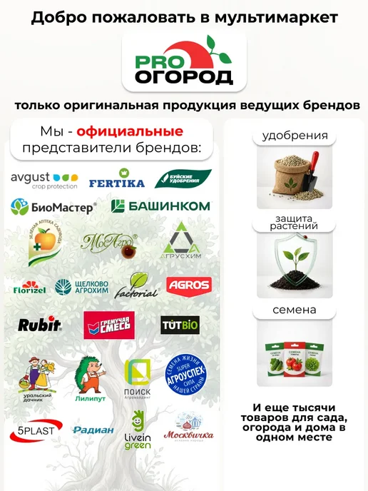 АГРОУСПЕХ Семена петрушки Итальянский гигант, 3г, 3 г, фото 4