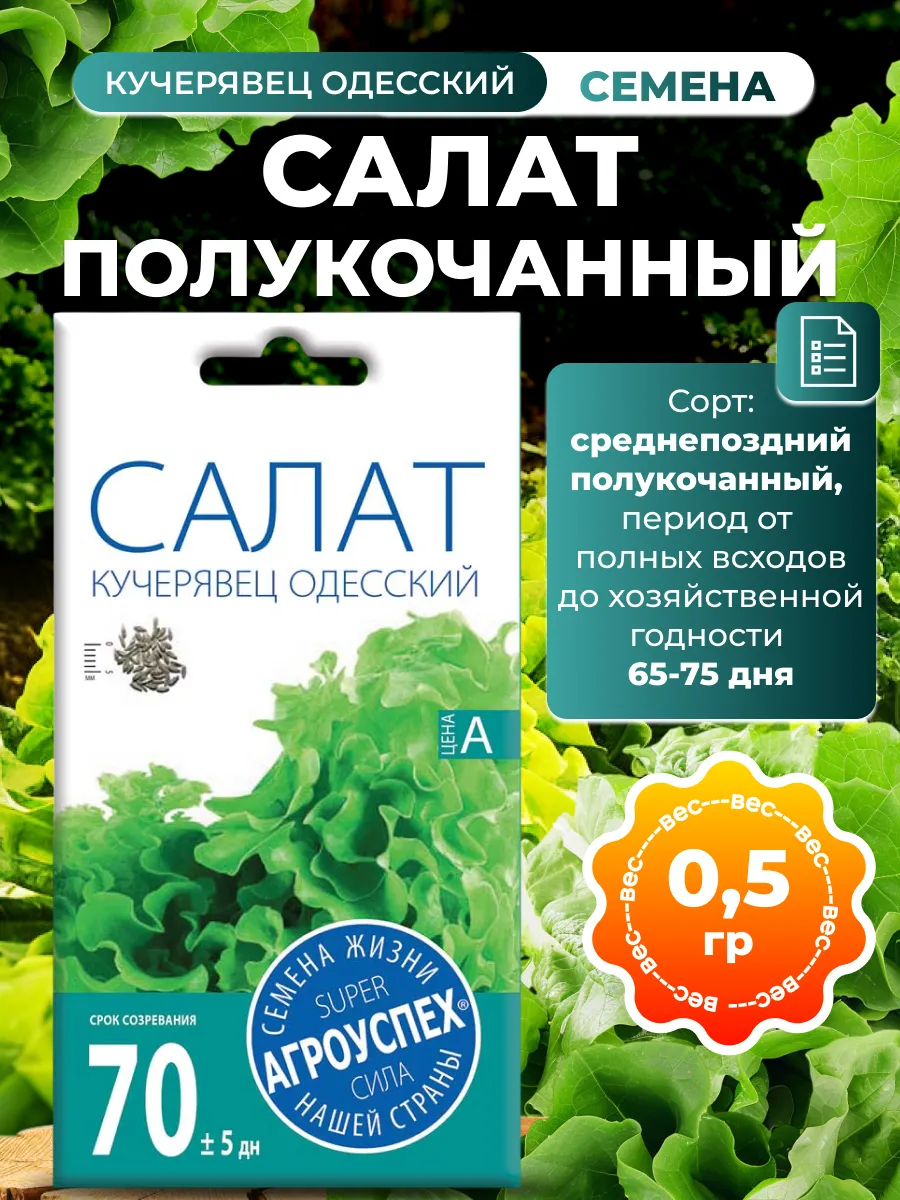 Семена салата полукочанный Кучерявец Одесский, 0,5г