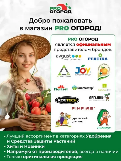 АГРОУСПЕХ Семена укропа Супердукат OE, 3г, 3 г, фото 2