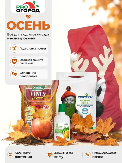 АГРОУСПЕХ Семена укропа Супердукат OE, 3г, 3 г, фото 3