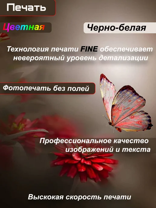 CANON Цветной Принтер МФУ с WiFi печать с телефона ( СНПЧ ) 3в1, вариант, фото 4