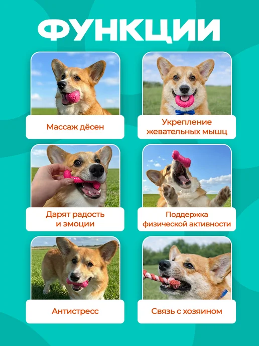 ЛАПА Маркет Набор игрушек для собак 5 шт, 5 шт, фото 3