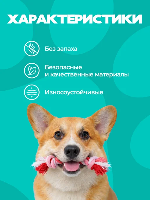 ЛАПА Маркет Набор игрушек для собак 5 шт, 5 шт, фото 4