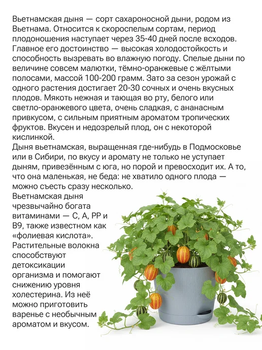 Окно в сад Дыня вьетнамская Набор для выращивания, вариант, фото 2